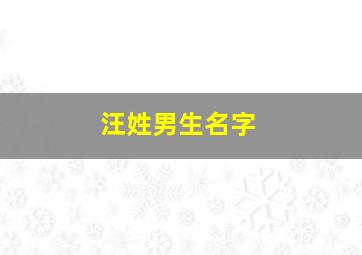 汪姓男生名字