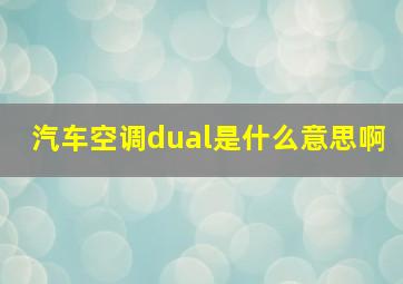 汽车空调dual是什么意思啊