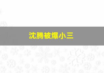 沈腾被爆小三