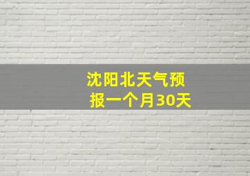 沈阳北天气预报一个月30天