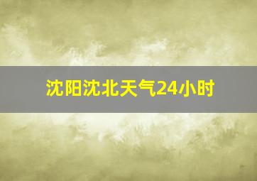 沈阳沈北天气24小时