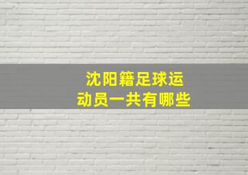 沈阳籍足球运动员一共有哪些