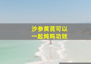 沙参黄芪可以一起炖吗功效