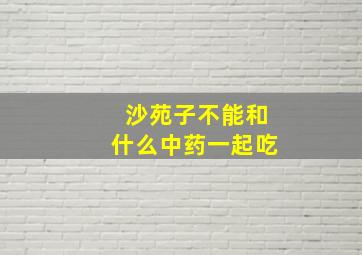 沙苑子不能和什么中药一起吃