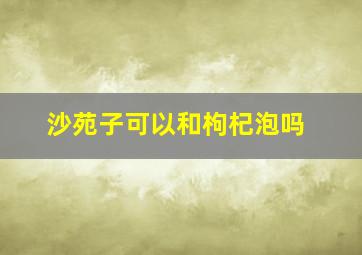 沙苑子可以和枸杞泡吗