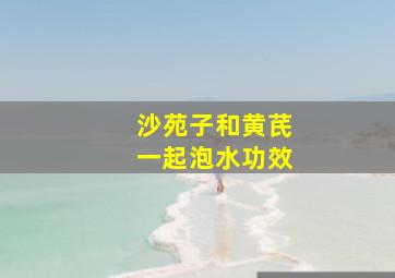 沙苑子和黄芪一起泡水功效