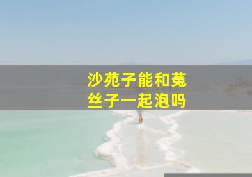 沙苑子能和菟丝子一起泡吗