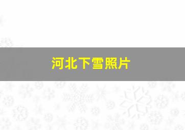 河北下雪照片