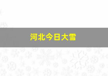 河北今日大雪