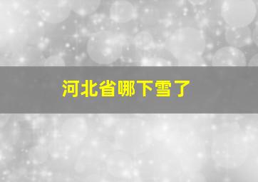 河北省哪下雪了