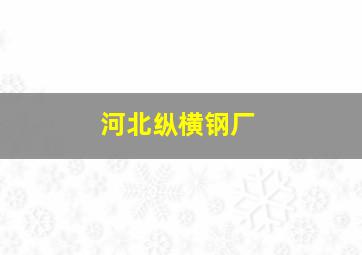 河北纵横钢厂