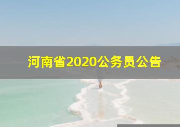 河南省2020公务员公告