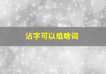 沾字可以组啥词