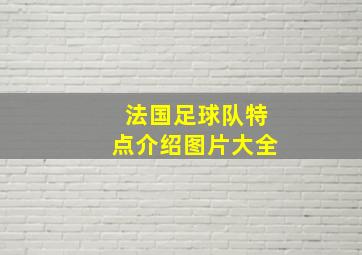 法国足球队特点介绍图片大全