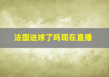 法国进球了吗现在直播