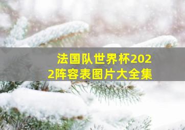 法国队世界杯2022阵容表图片大全集