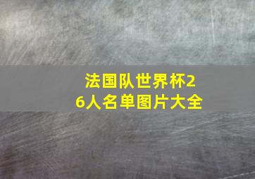 法国队世界杯26人名单图片大全