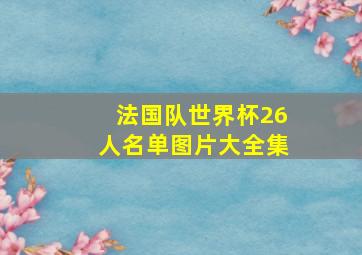 法国队世界杯26人名单图片大全集