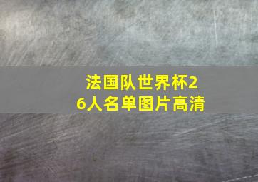 法国队世界杯26人名单图片高清