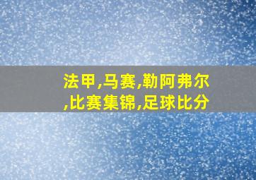 法甲,马赛,勒阿弗尔,比赛集锦,足球比分