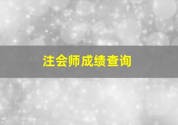 注会师成绩查询