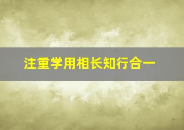 注重学用相长知行合一