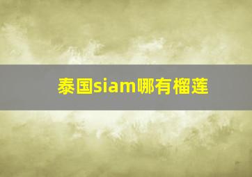 泰国siam哪有榴莲