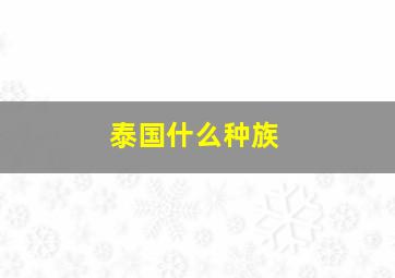 泰国什么种族