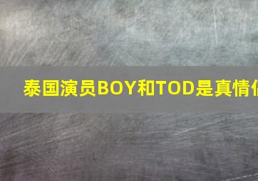 泰国演员BOY和TOD是真情侣