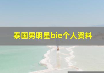 泰国男明星bie个人资料