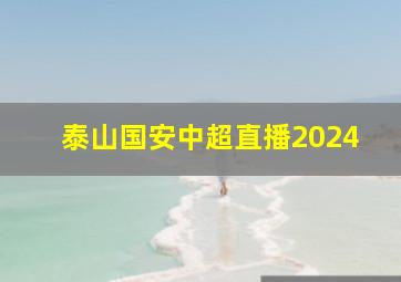 泰山国安中超直播2024