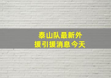 泰山队最新外援引援消息今天