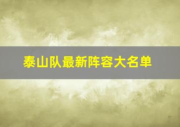 泰山队最新阵容大名单