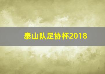 泰山队足协杯2018