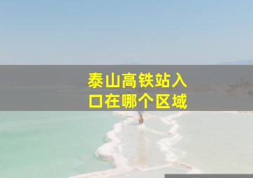 泰山高铁站入口在哪个区域