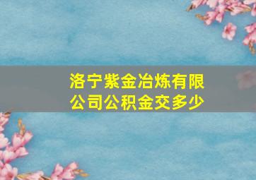 洛宁紫金冶炼有限公司公积金交多少