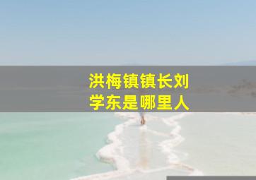 洪梅镇镇长刘学东是哪里人