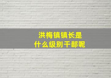 洪梅镇镇长是什么级别干部呢