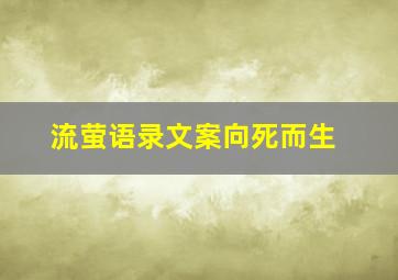 流萤语录文案向死而生