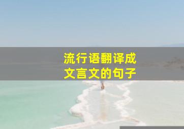 流行语翻译成文言文的句子