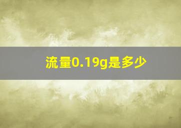 流量0.19g是多少