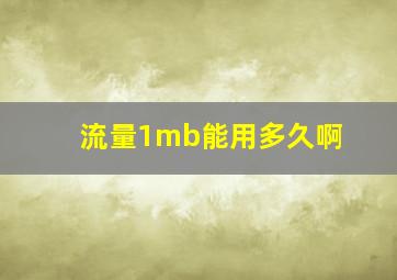 流量1mb能用多久啊