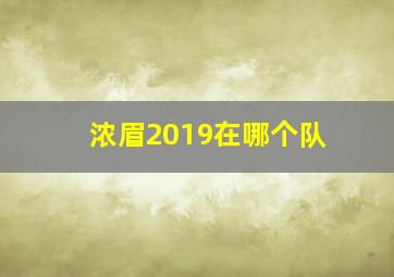 浓眉2019在哪个队