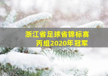 浙江省足球省锦标赛丙组2020年冠军