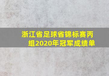 浙江省足球省锦标赛丙组2020年冠军成绩单