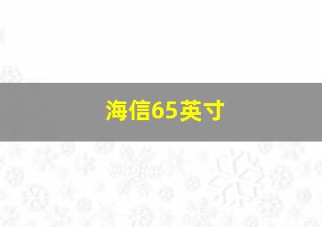 海信65英寸