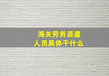 海关劳务派遣人员具体干什么