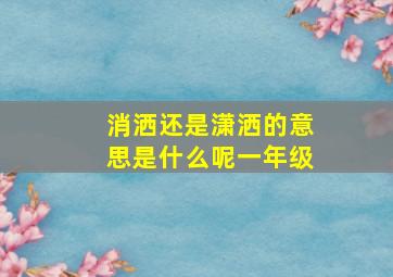 消洒还是潇洒的意思是什么呢一年级