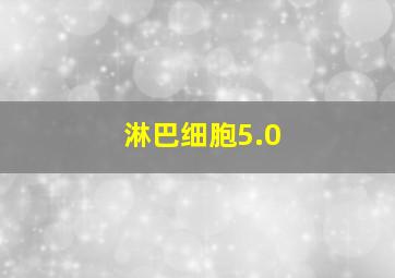 淋巴细胞5.0