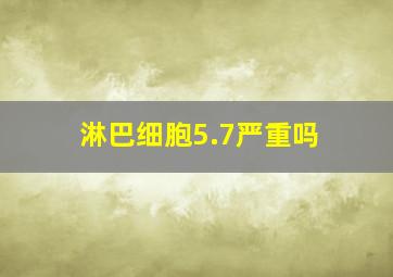 淋巴细胞5.7严重吗